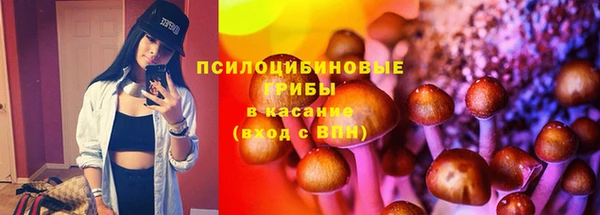 ешки Надым