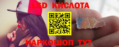 a pvp Камышлов