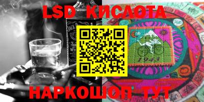 a pvp Камышлов