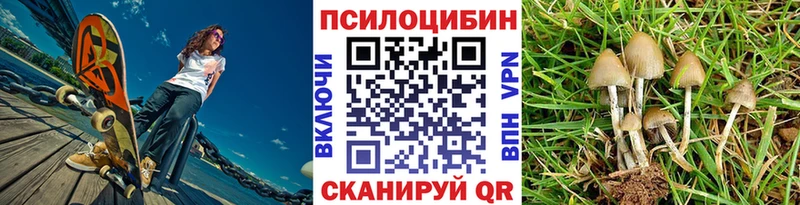 Псилоцибиновые грибы мухоморы  хочу наркоту  Тверь 