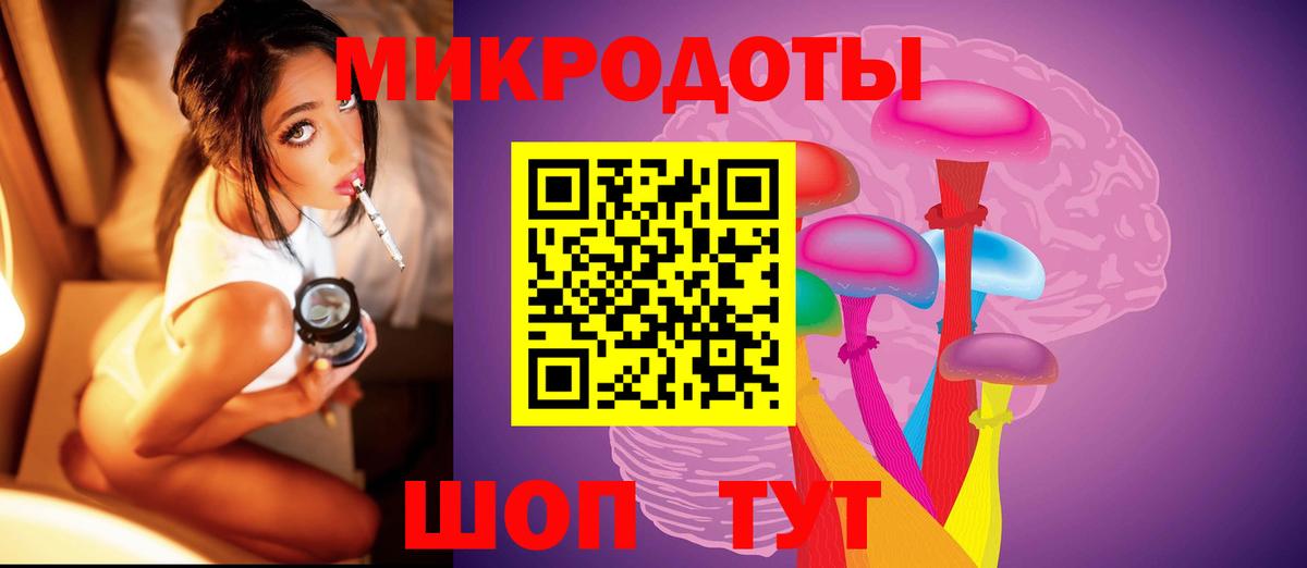Псилоцибиновые грибы Cubensis Тверь