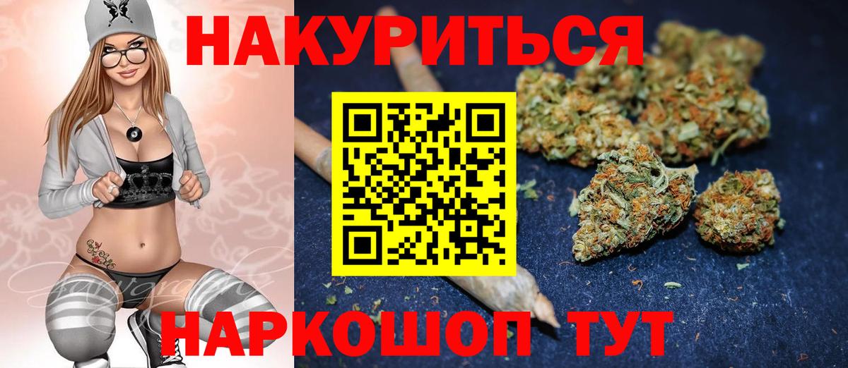 Конопля сатива Тверь